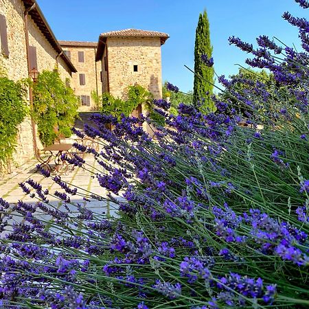 Вілла Castello Di Viano Екстер'єр фото