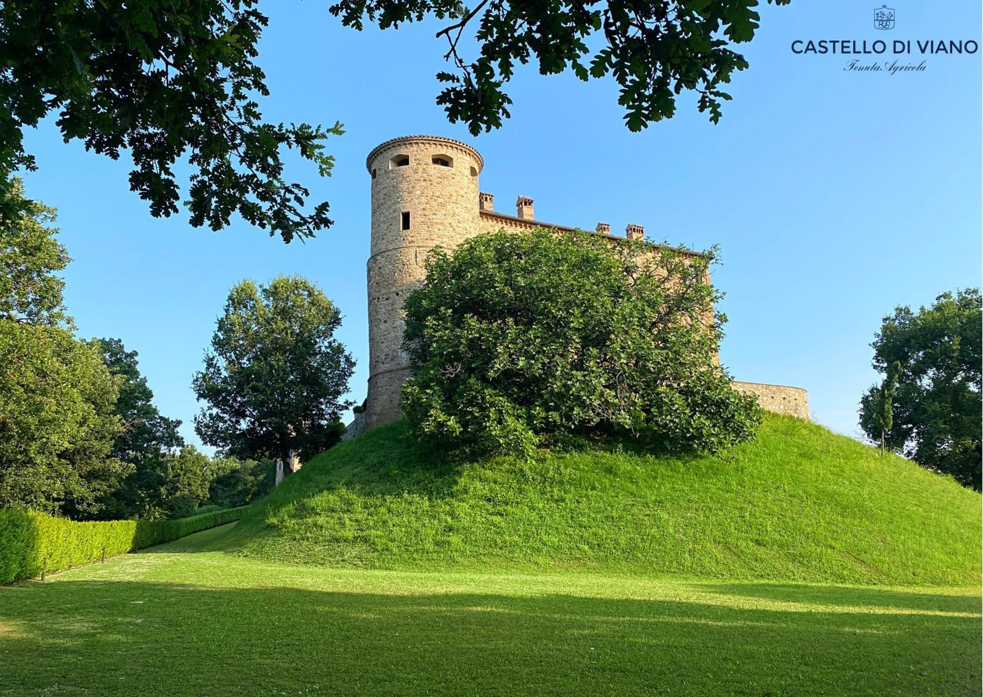 Вілла Castello Di Viano Екстер'єр фото