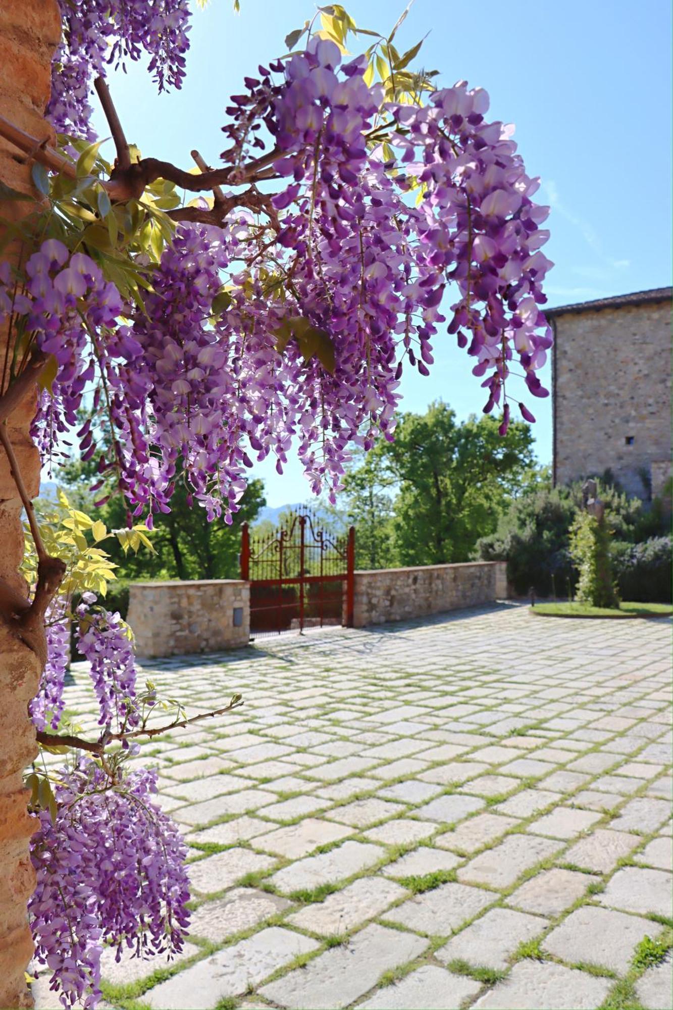 Вілла Castello Di Viano Екстер'єр фото
