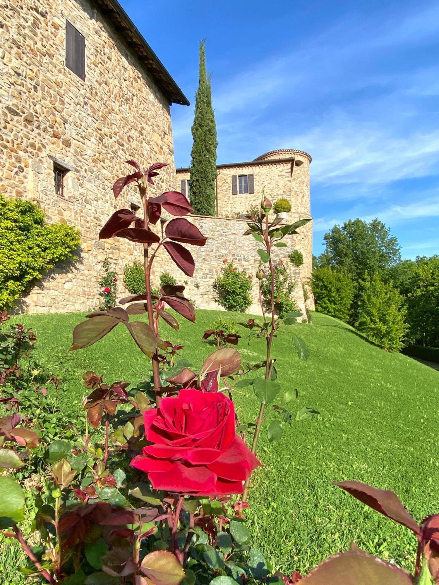 Вілла Castello Di Viano Екстер'єр фото