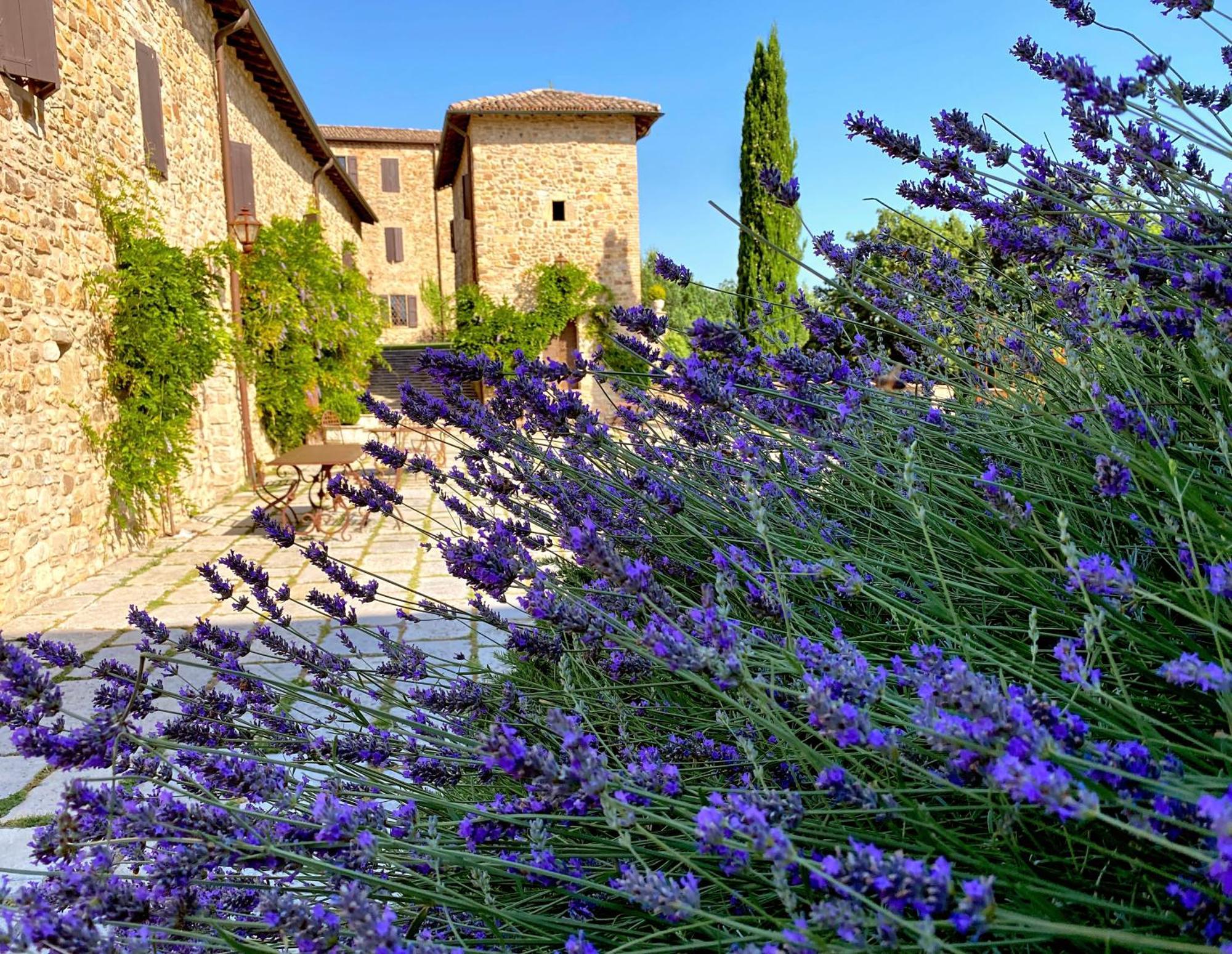 Вілла Castello Di Viano Екстер'єр фото
